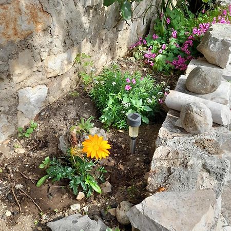 Apartmani Sanja Sibenik Ruang foto